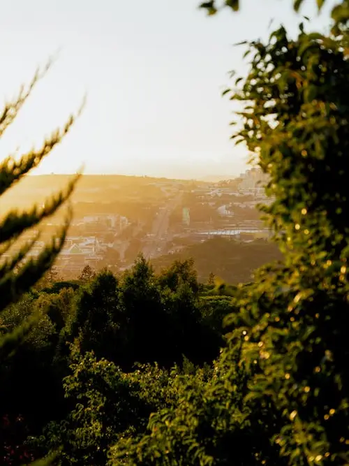 product page main image