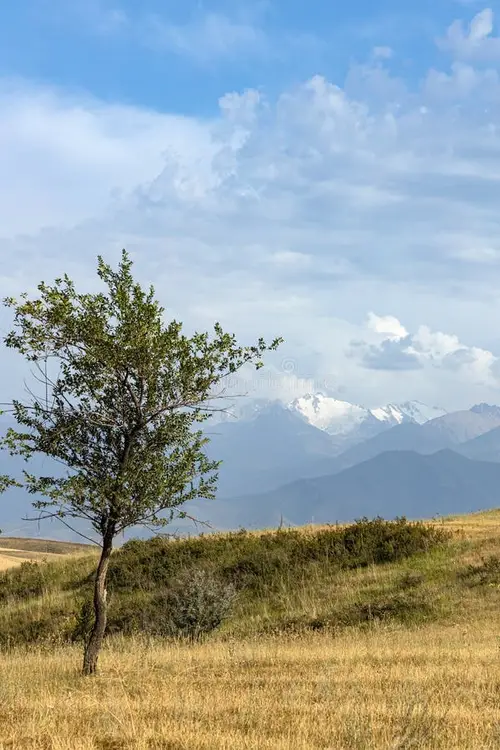 product page main image