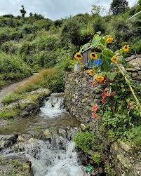 product page main image