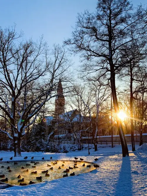 product page main image