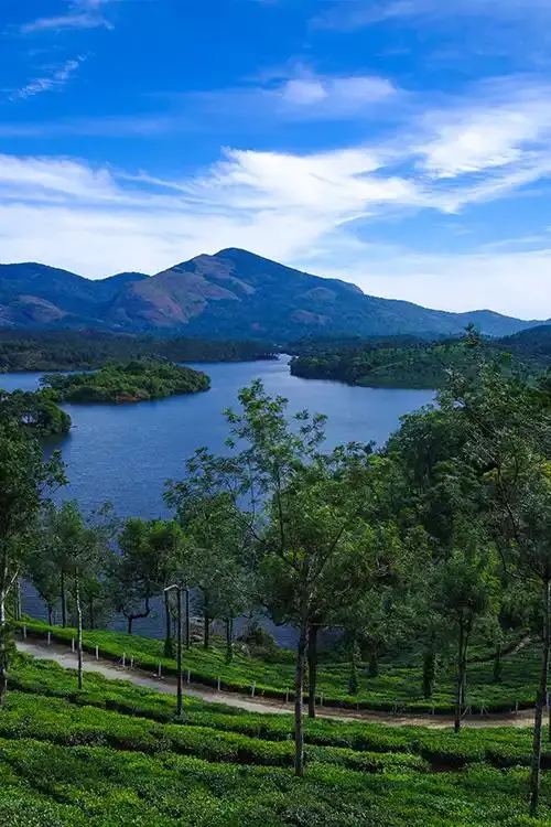 product page main image