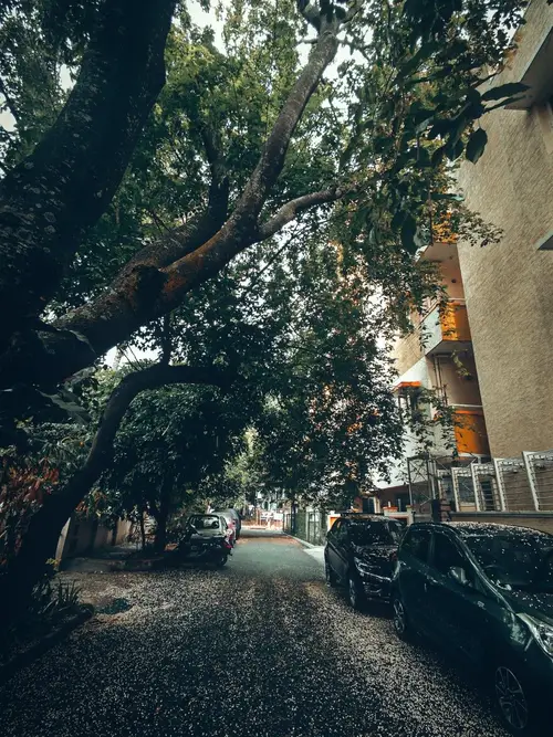 product page main image