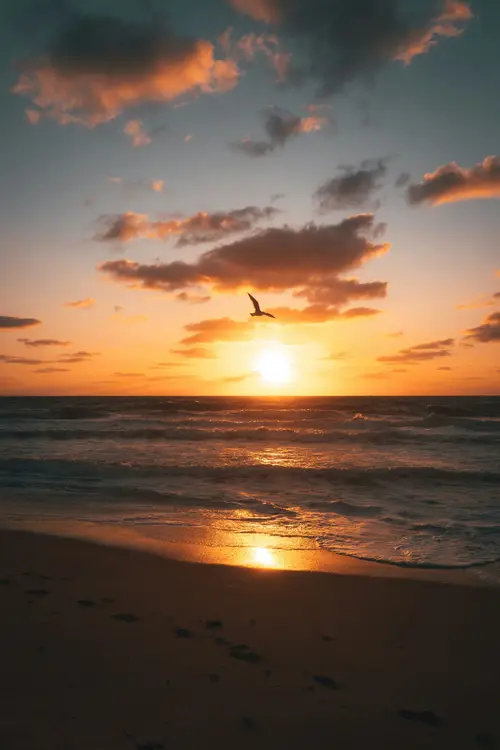 product page main image