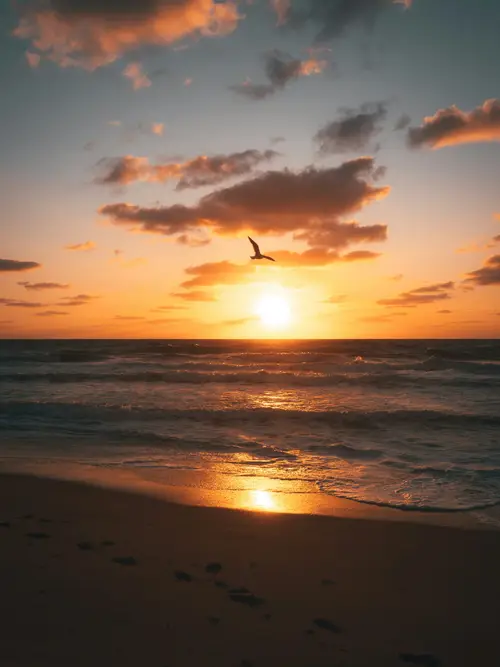 product page main image