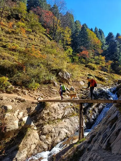 product page main image