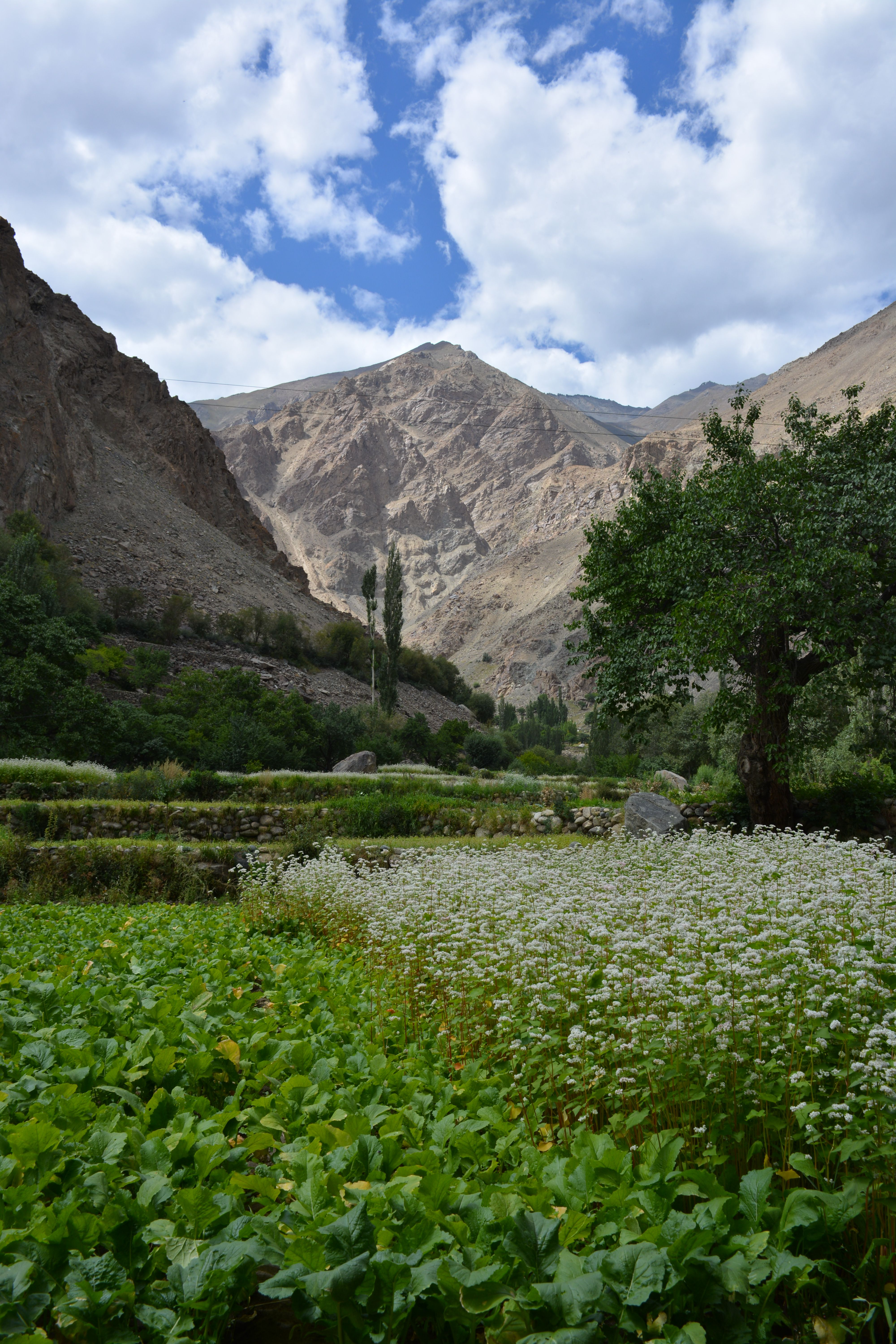 product page main image