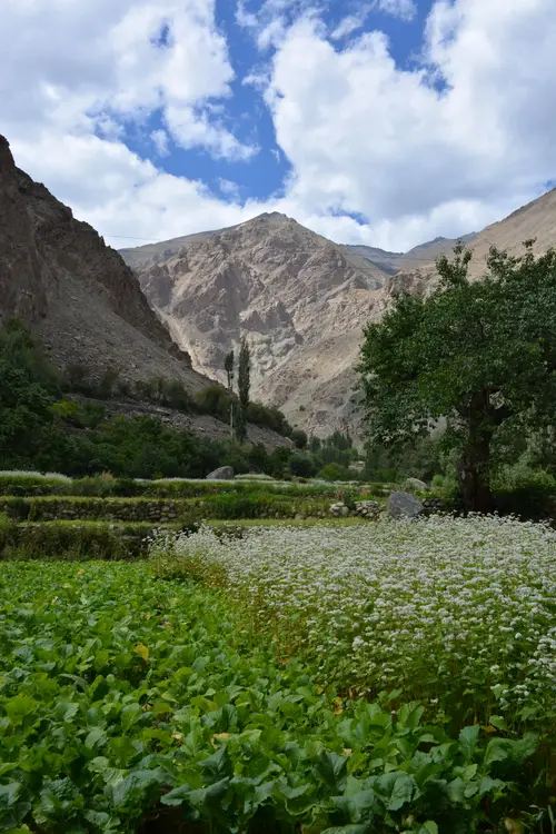 product page main image