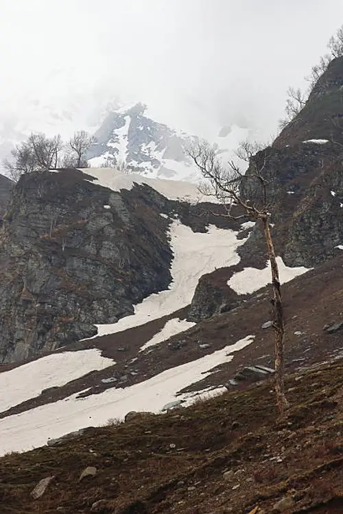 product page main image