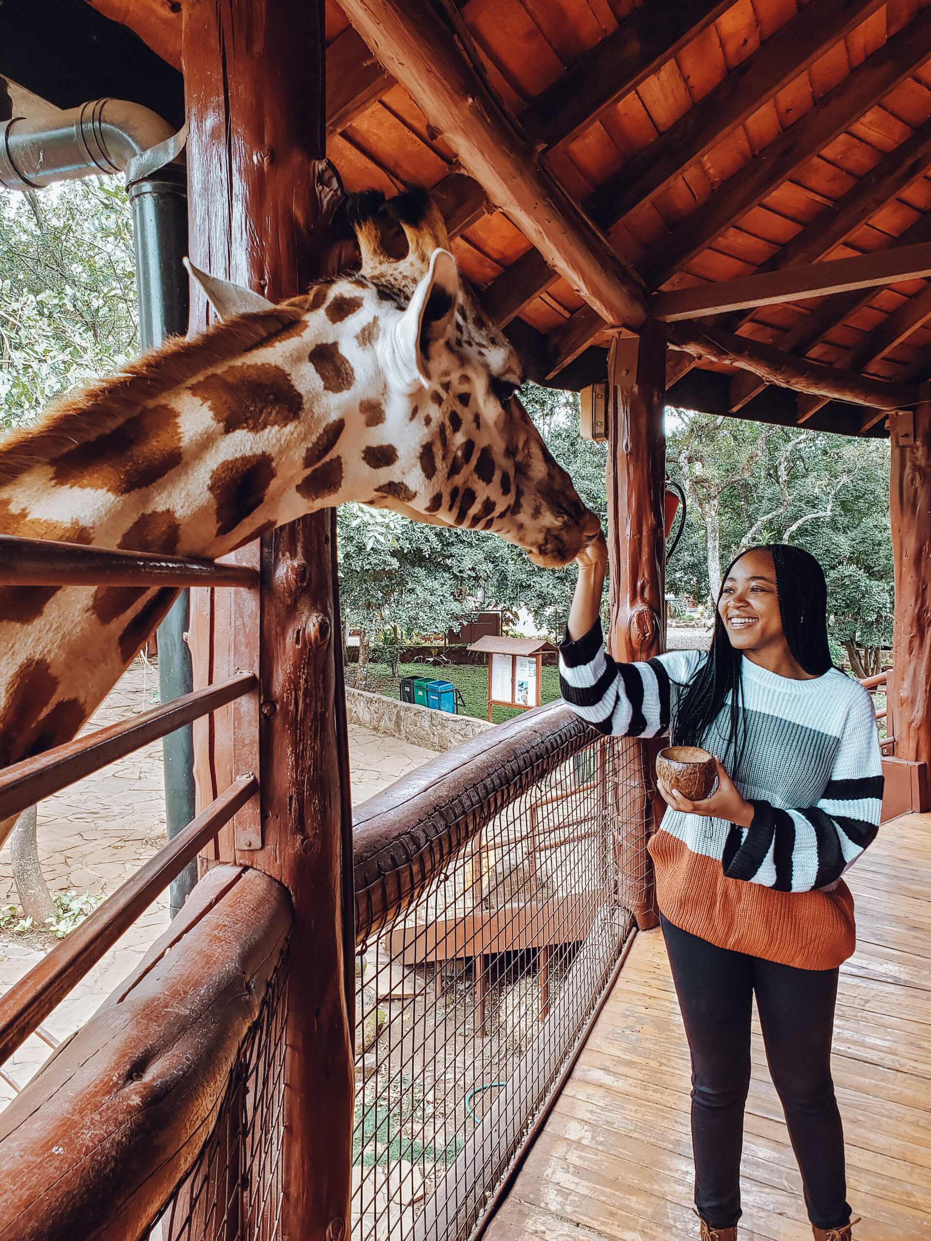 product page main image