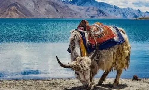 product page main image