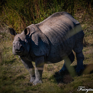 product page main image