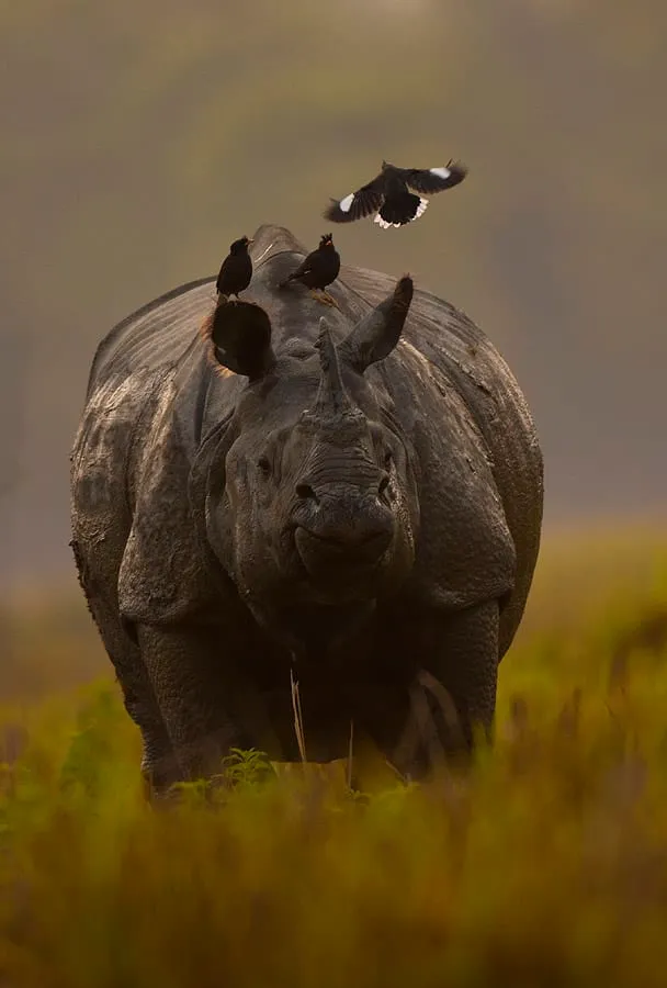 product page main image