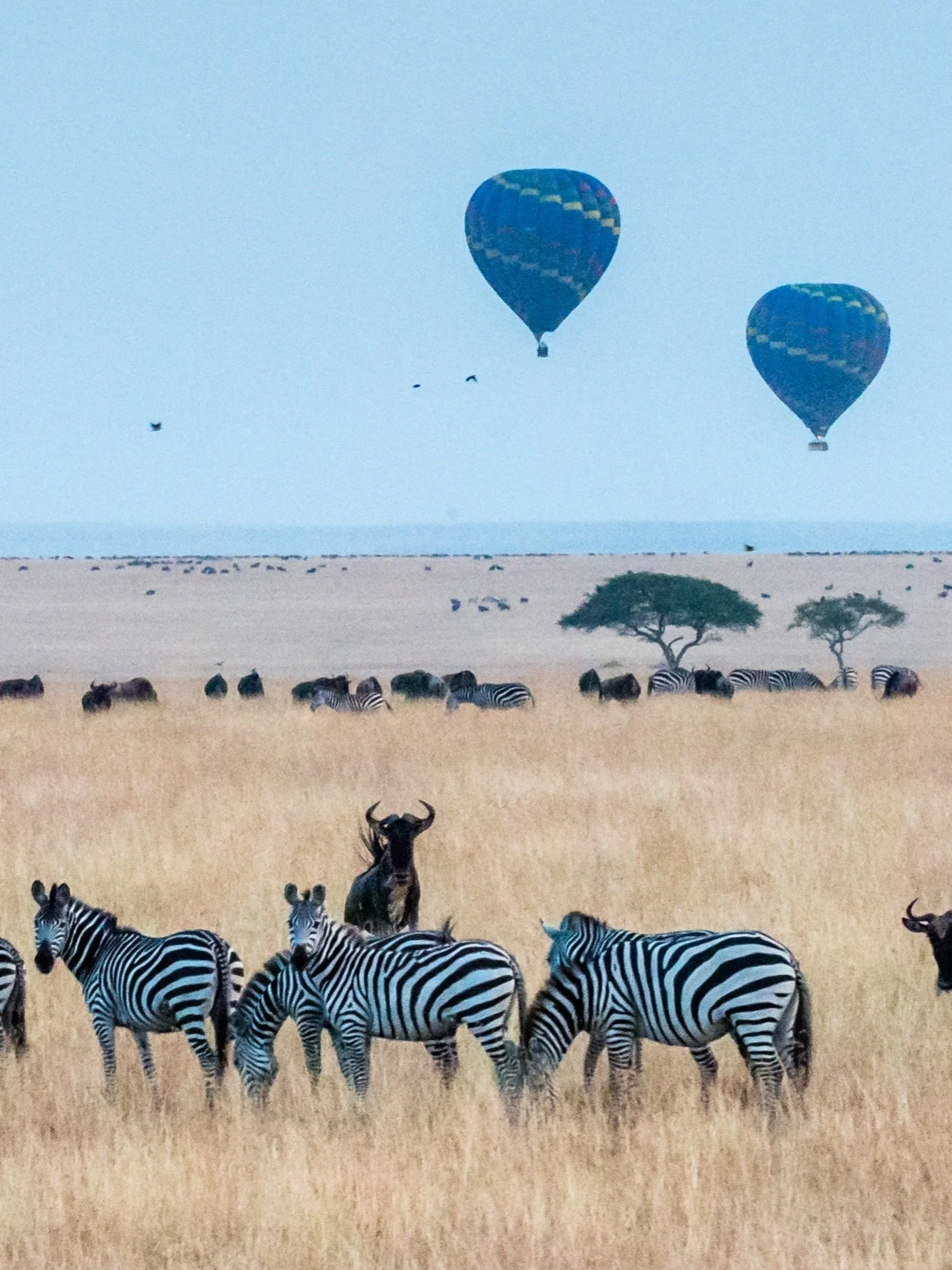 product page main image