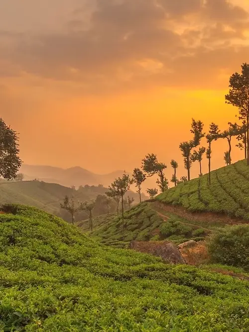 product page main image