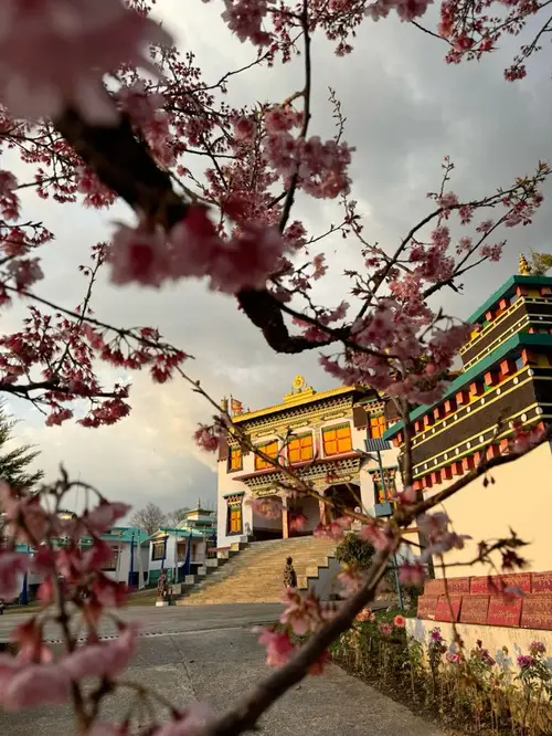 product page main image