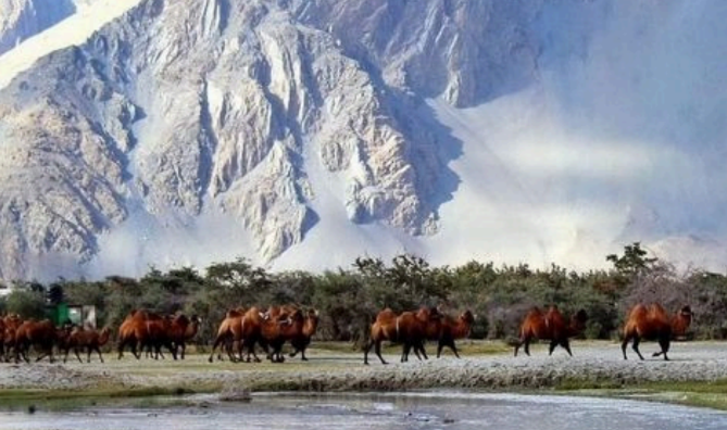 product page main image