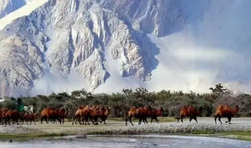 product page main image