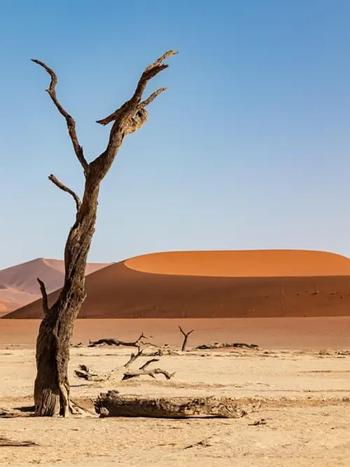 product page main image