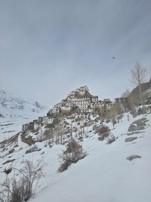 product page main image