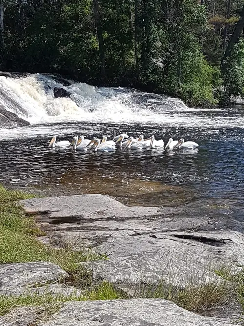 product page main image