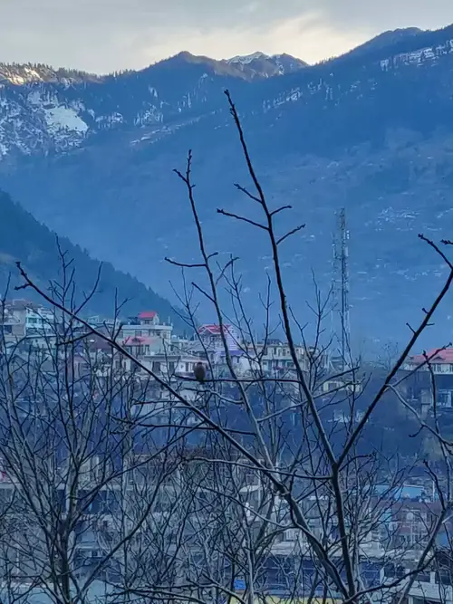 product page main image