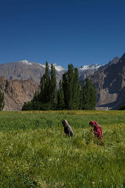 product page main image