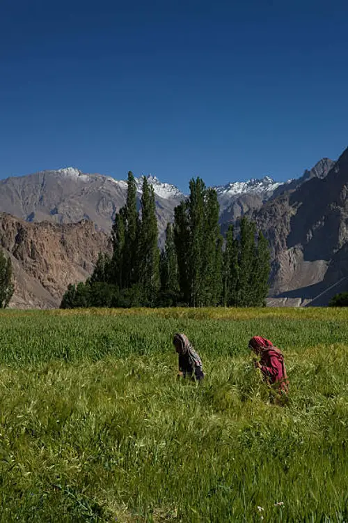 product page main image