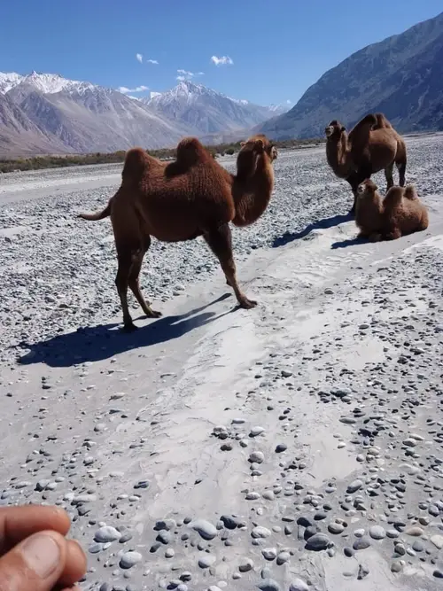 product page main image