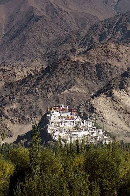 product page main image