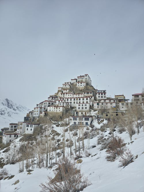 product page main image