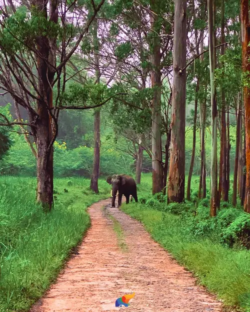 product page main image