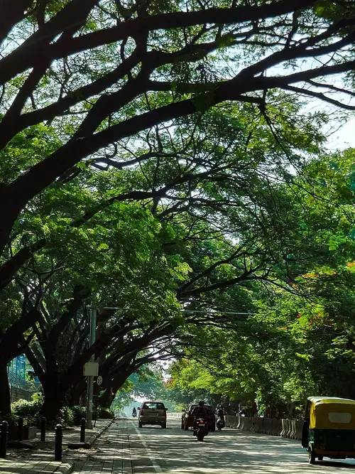 product page main image