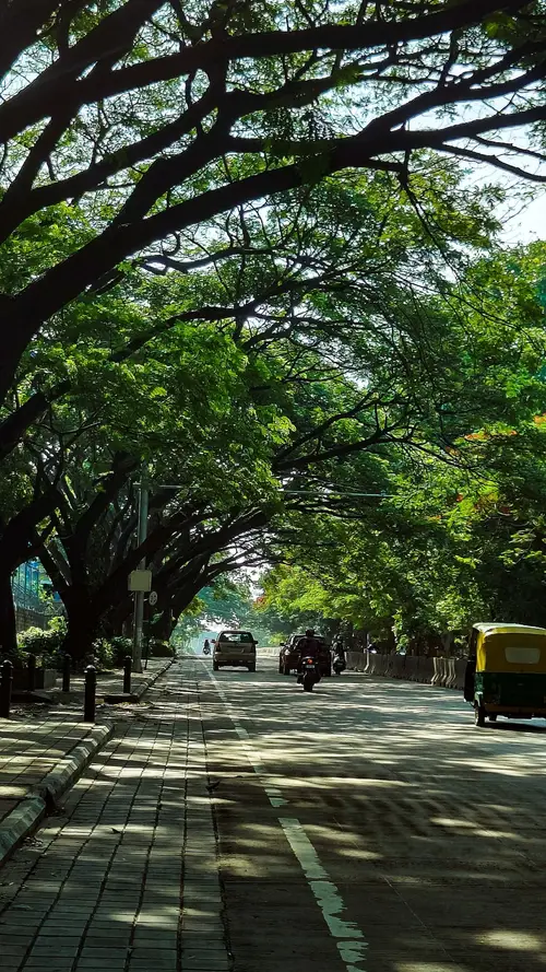 product page main image