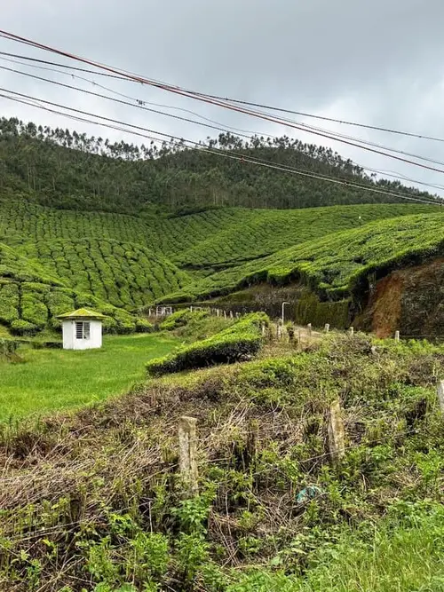 product page main image