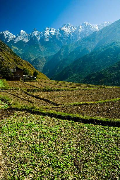 product page main image