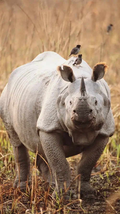 product page main image