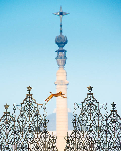 product page main image