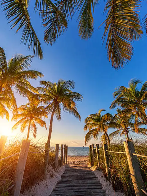 product page main image