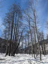 product sub page