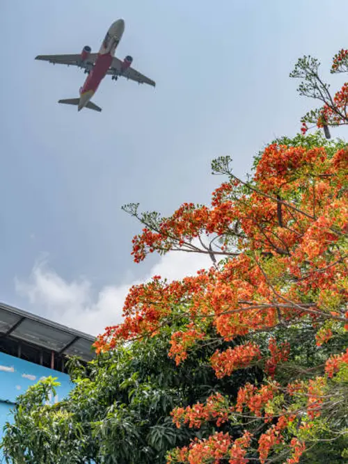 product page main image