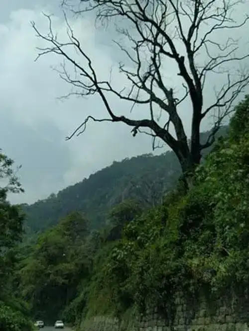 product page main image