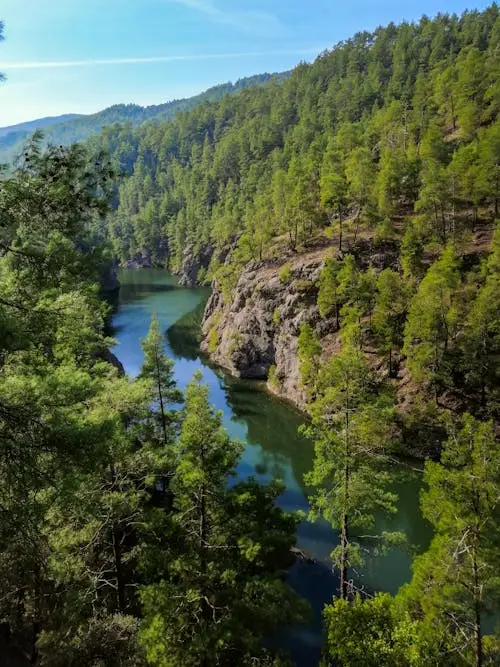 product page main image