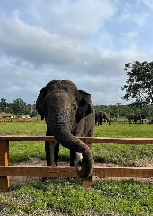 product page main image