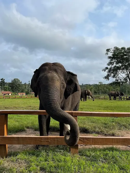 product page main image