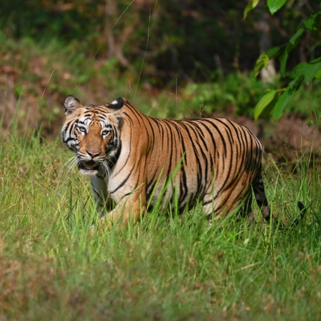 product page main image