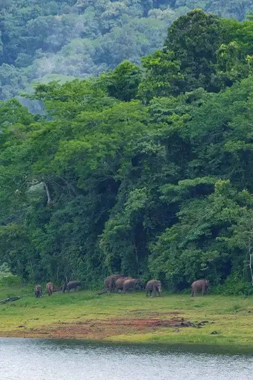 product page main image