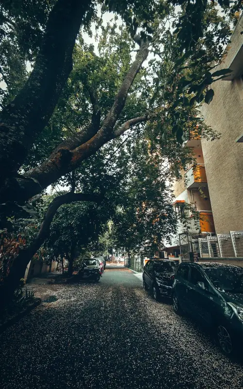 product page main image