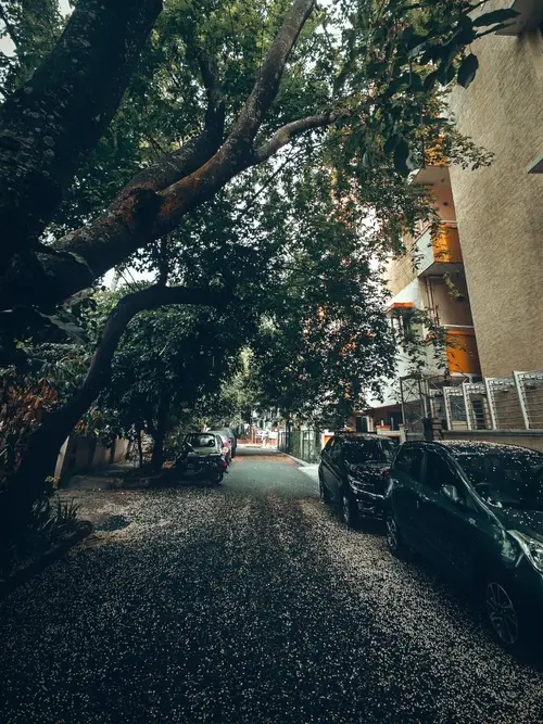 product page main image