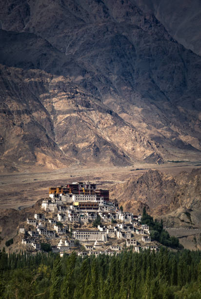 product page main image