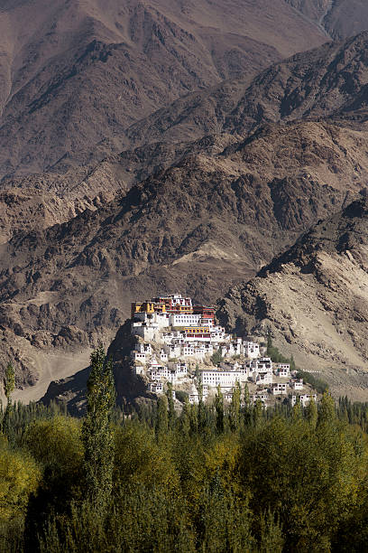 product page main image